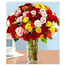 Blooms of Assorted Garden Spray Roses