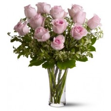 A Dozen Pink Roses