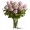 A Dozen Pink Roses