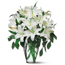 Perfect White Lilies