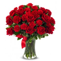 Admirer