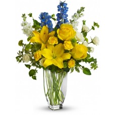 French Blue Sunshine