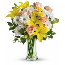 Sunrich Daisies