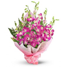 ORCHIDS