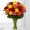 18 Long Stem Mixed Roses