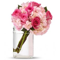 All Pink and Rose
