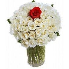 ONLY FOR YOU