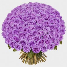 Purple Kisses