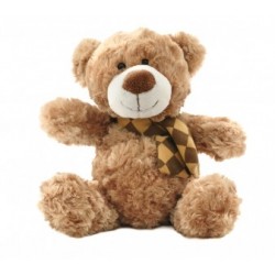 Brown Teddy