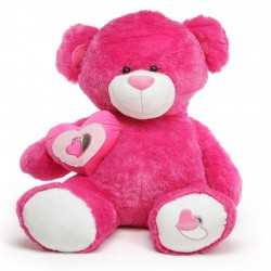 Lovable Teddy Pink