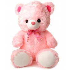 Teddy Baby