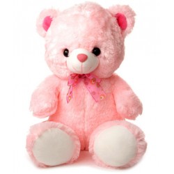 Teddy Baby